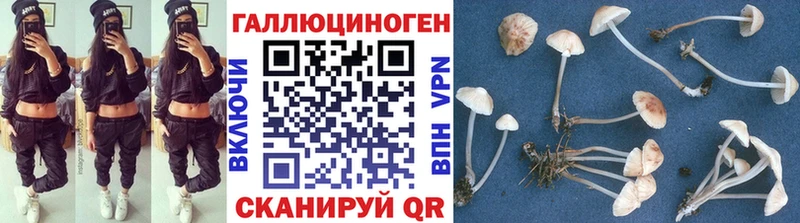 хочу   OMG маркетплейс  Псилоцибиновые грибы прущие грибы  Пошехонье 